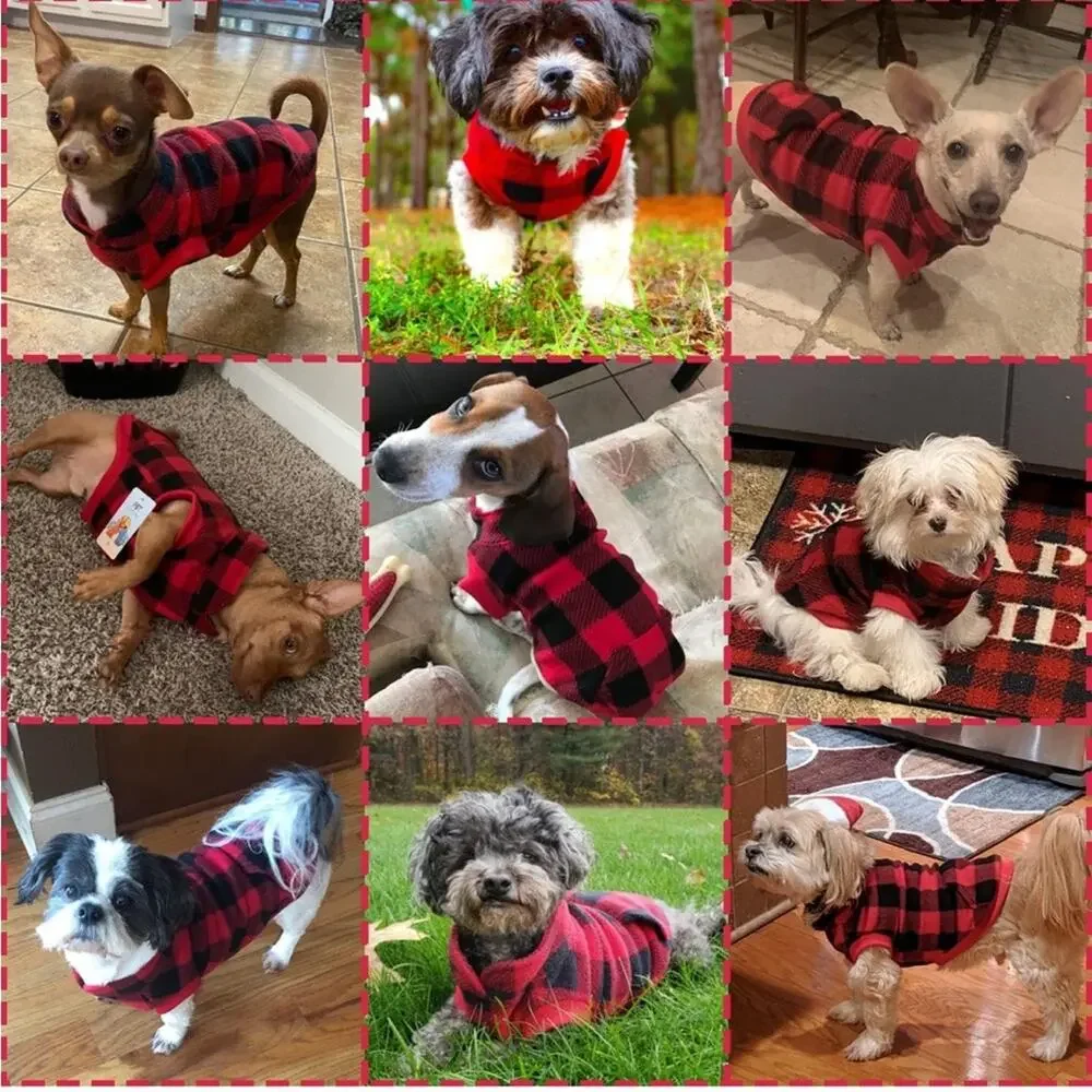kooltail cozy plaid